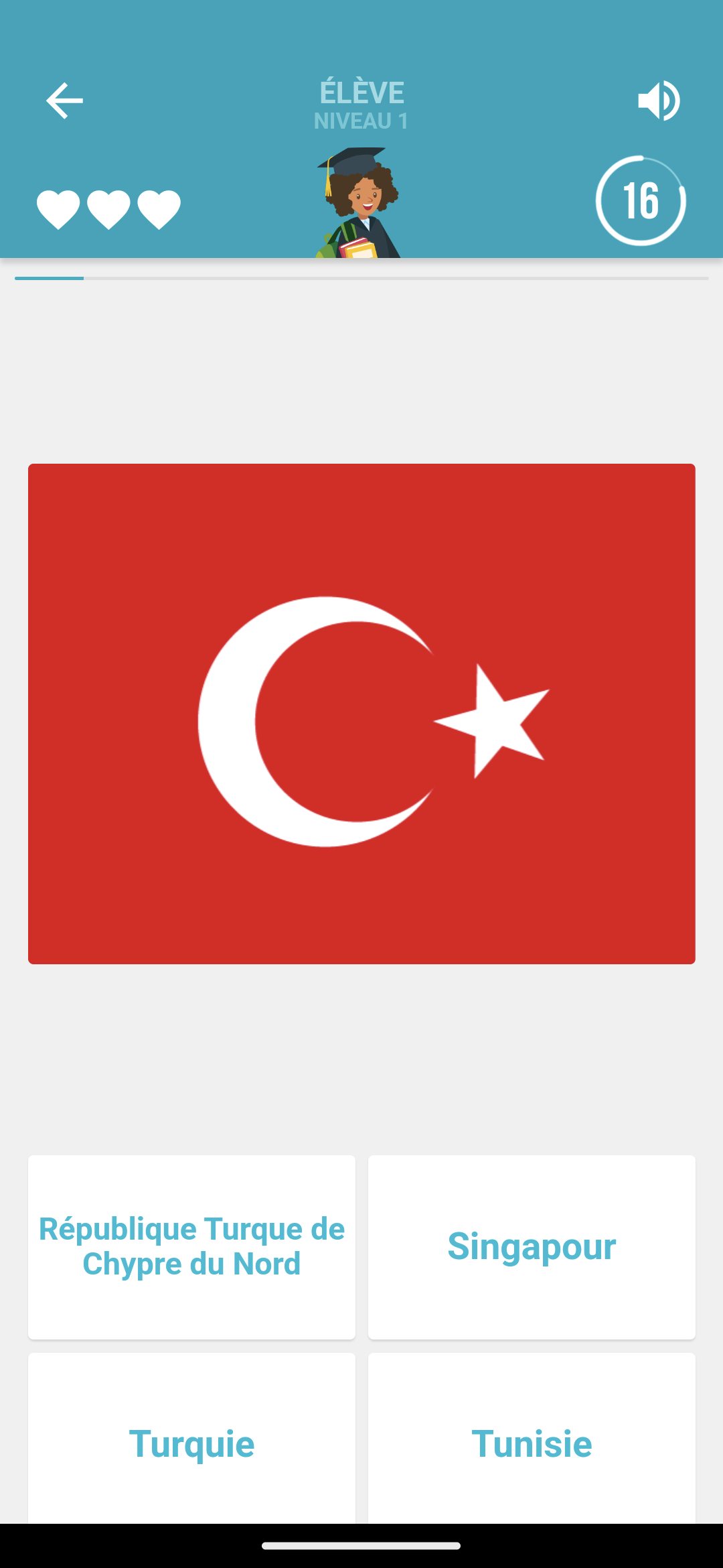 Preview image of Flags